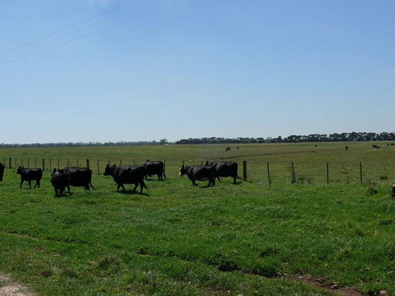 Clydebank-Bengworden Road, Clydebank VIC 3851