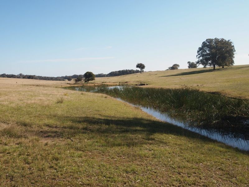 Sawpit Creek Road, Briagolong VIC 3860