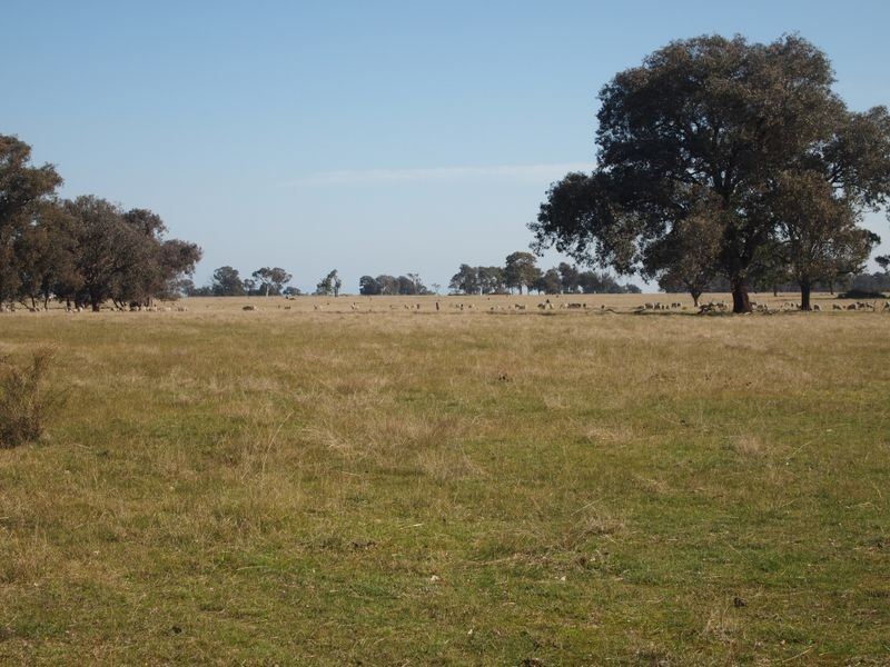 Sawpit Creek Road, Briagolong VIC 3860