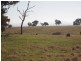 Sawpit Creek Road, Briagolong VIC 3860