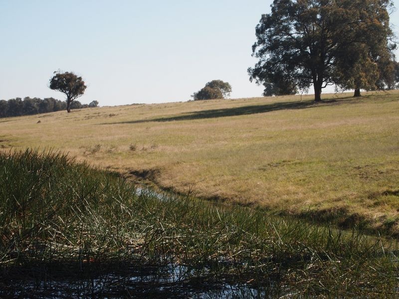 Sawpit Creek Road, Briagolong VIC 3860