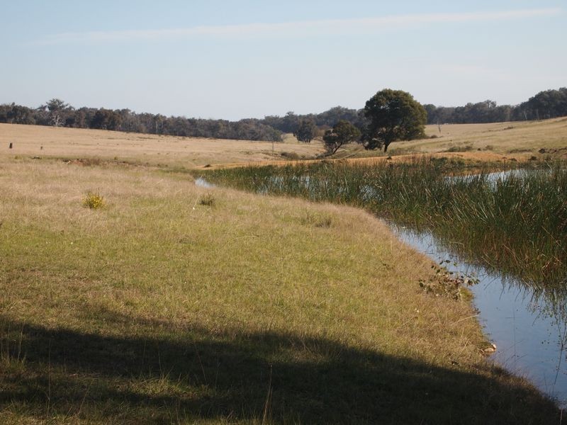 Sawpit Creek Road, Briagolong VIC 3860
