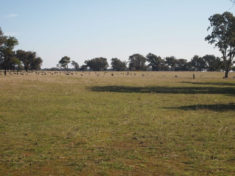 Sawpit Creek Road, Briagolong VIC 3860