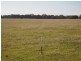 Sawpit Creek Road, Briagolong VIC 3860
