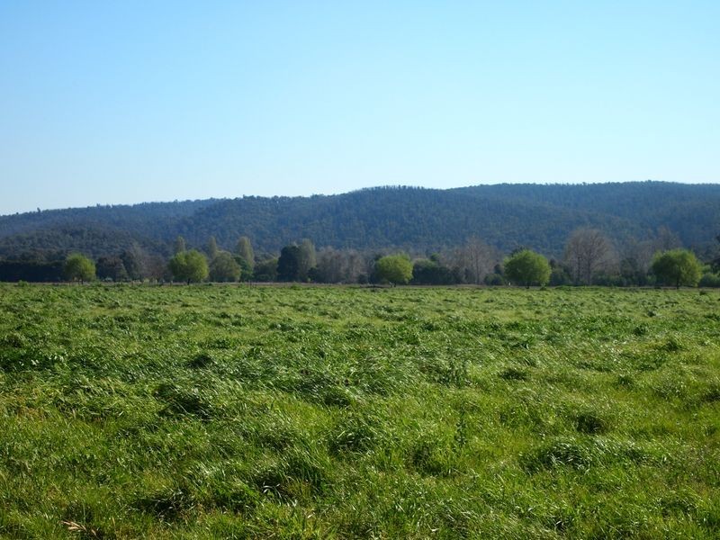 Cowwarr Weir Road, Cowwarr VIC 3857