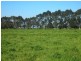 Cowwarr Weir Road, Cowwarr VIC 3857