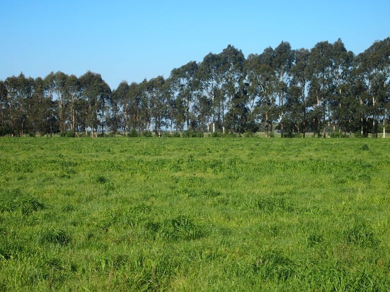 Cowwarr Weir Road, Cowwarr VIC 3857