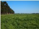 Cowwarr Weir Road, Cowwarr VIC 3857