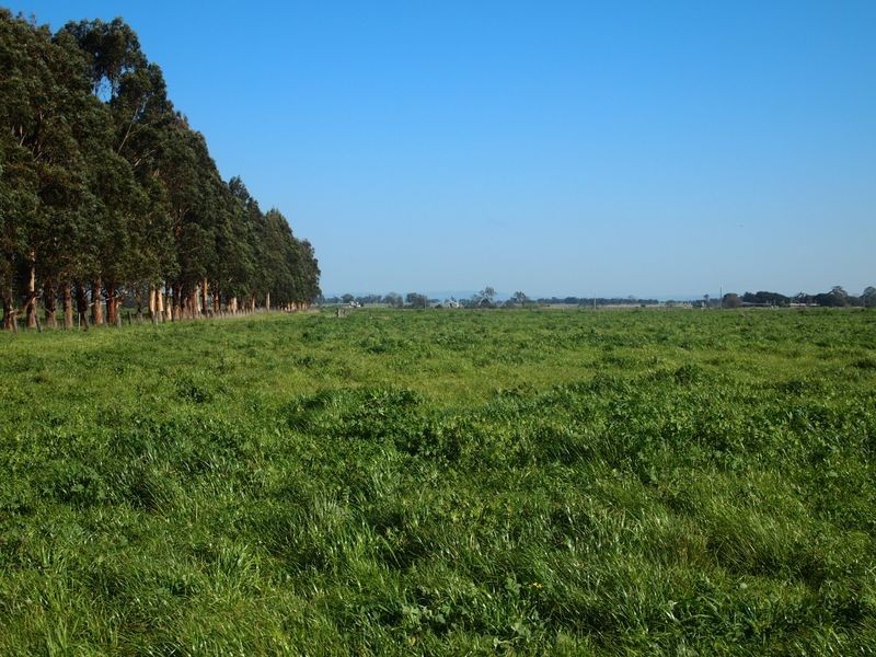 Cowwarr Weir Road, Cowwarr VIC 3857