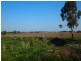 Cowwarr Weir Road, Cowwarr VIC 3857
