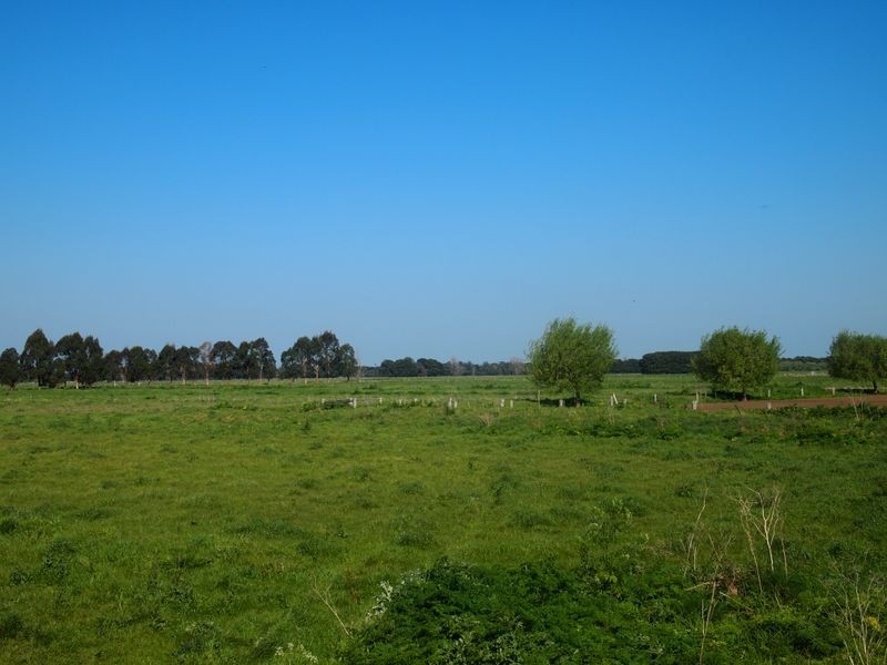 Cowwarr Weir Road, Cowwarr VIC 3857