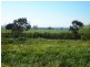 Cowwarr Weir Road, Cowwarr VIC 3857