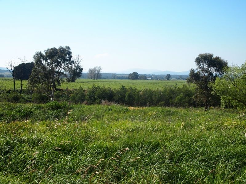 Cowwarr Weir Road, Cowwarr VIC 3857