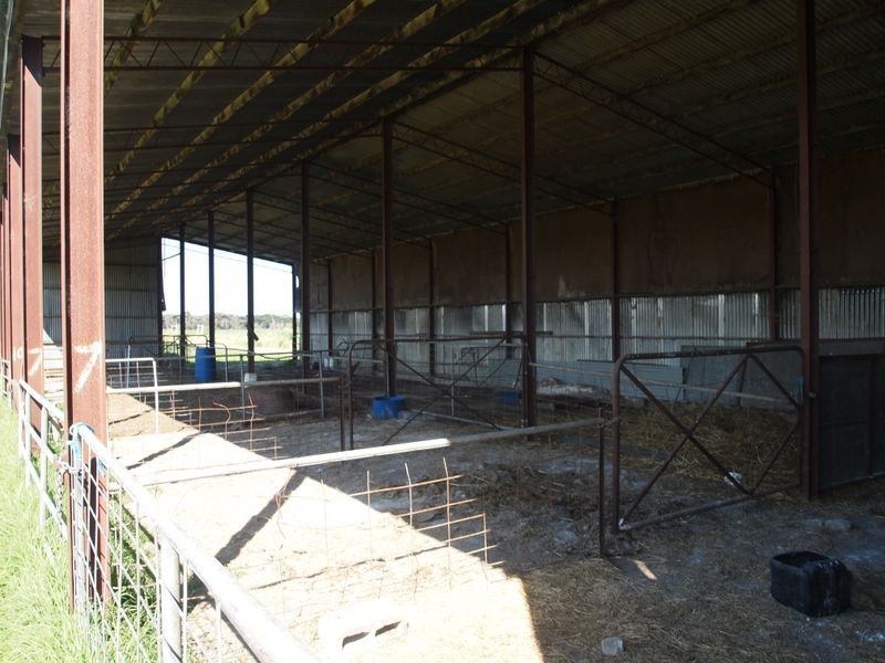 Cowwarr Weir Road, Cowwarr VIC 3857