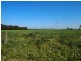 Cowwarr Weir Road, Cowwarr VIC 3857