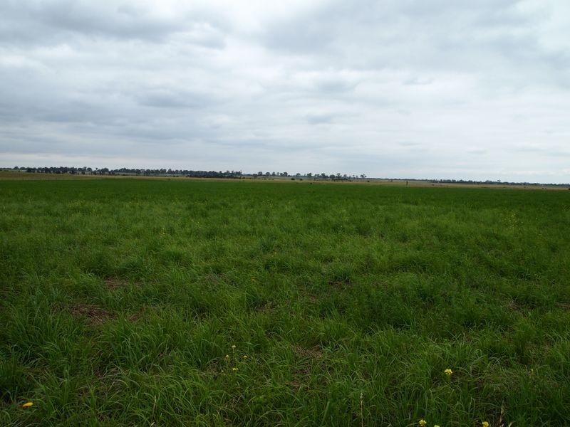 0 Crooked Lane, Bushy Park VIC 3860