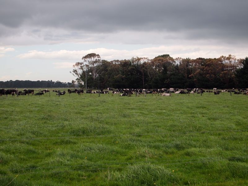 833 Sale Cowwarr Road, Nambrok VIC 3847