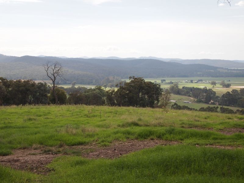 368 Back Wombat Road, Boisdale VIC 3860