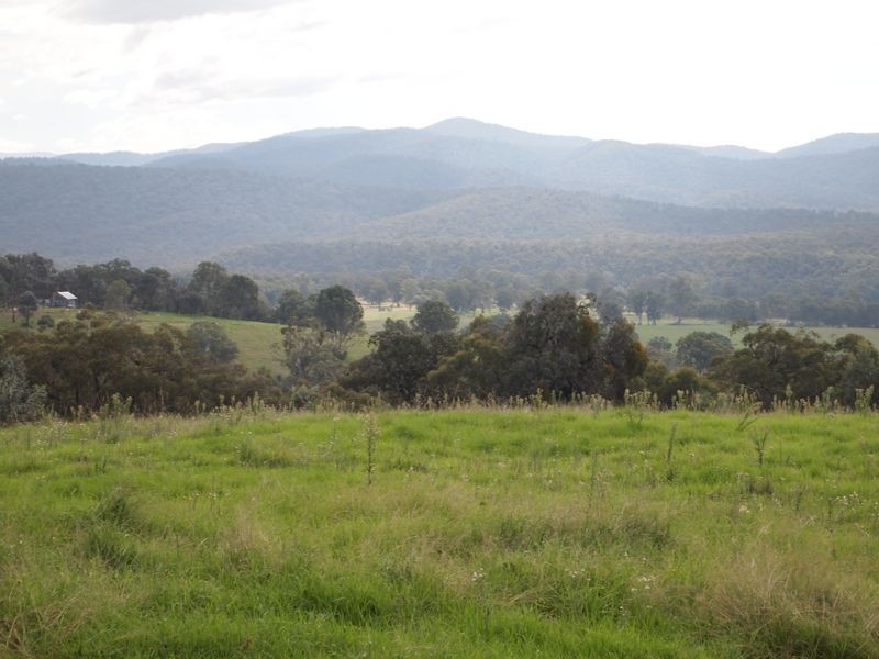 368 Back Wombat Road, Boisdale VIC 3860