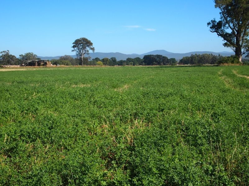 16 McCole Street, Newry VIC 3859