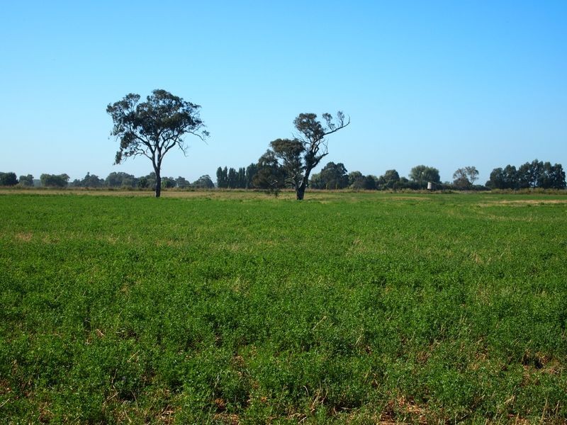 16 McCole Street, Newry VIC 3859