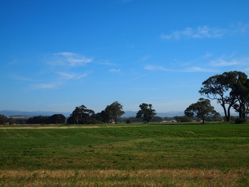 16 McCole Street, Newry VIC 3859