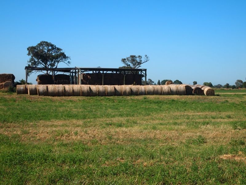 16 McCole Street, Newry VIC 3859