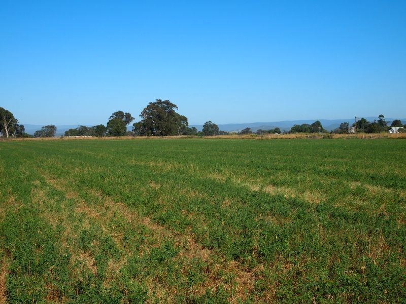 16 McCole Street, Newry VIC 3859