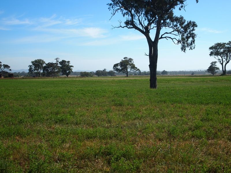 16 McCole Street, Newry VIC 3859