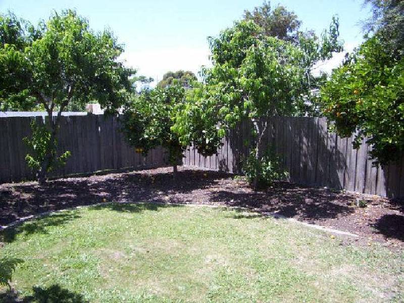 67 Albert Street, Hiamdale VIC 3847