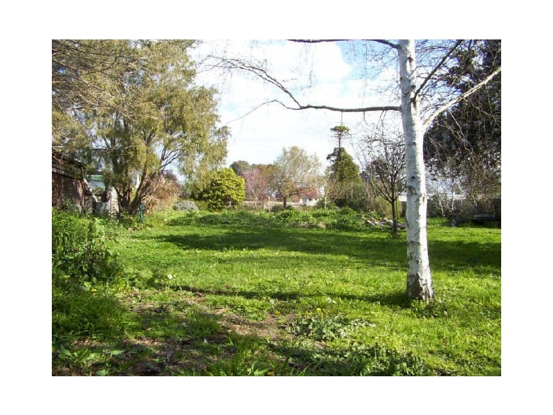 19 Queen Street, Rosedale VIC 3847