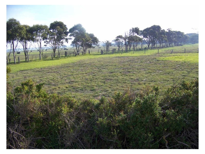 1 Davies Street, Seaspray VIC 3851