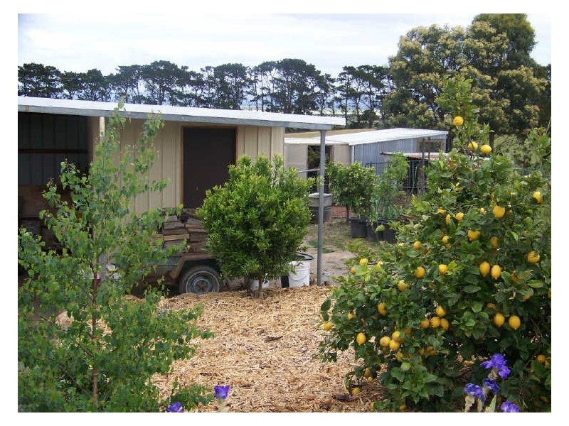 120 Denison Road, Rosedale VIC 3847