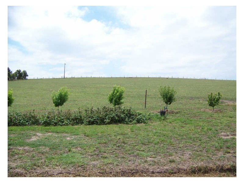120 Denison Road, Rosedale VIC 3847