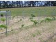 120 Denison Road, Rosedale VIC 3847