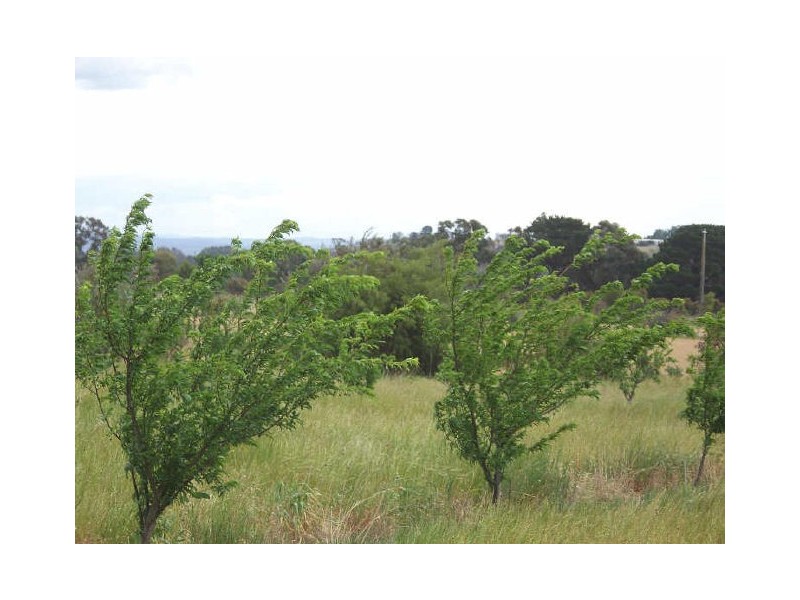 8/ Cnr Shaws Lane & Princes Highway, Rosedale VIC 3847