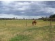 8/ Cnr Shaws Lane & Princes Highway, Rosedale VIC 3847