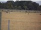 8/ Cnr Shaws Lane & Princes Highway, Rosedale VIC 3847