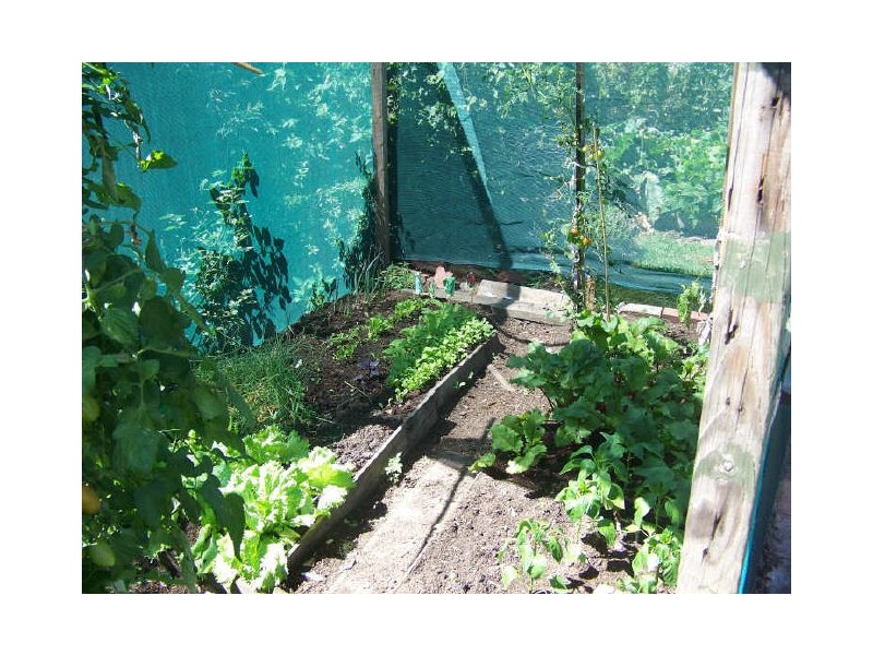 08 Albert Street, Rosedale VIC 3847