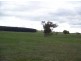 Cnr Princes Highway and Nambrok Road, Rosedale VIC 3847
