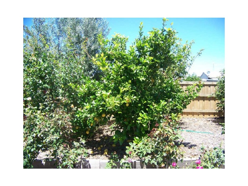 5-7 Wood Street, Rosedale VIC 3847