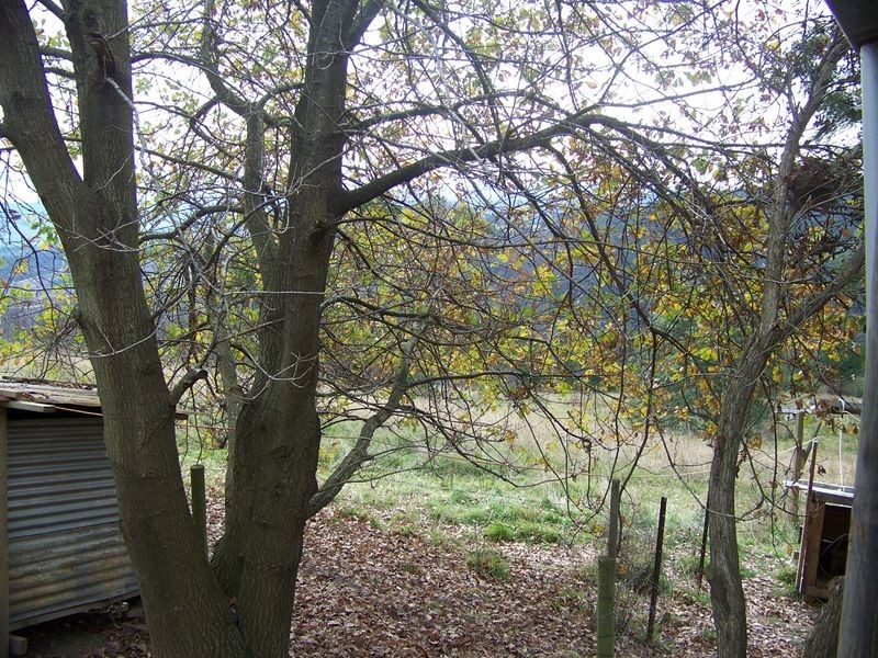 1 Milne Road, Carrajung VIC 3844