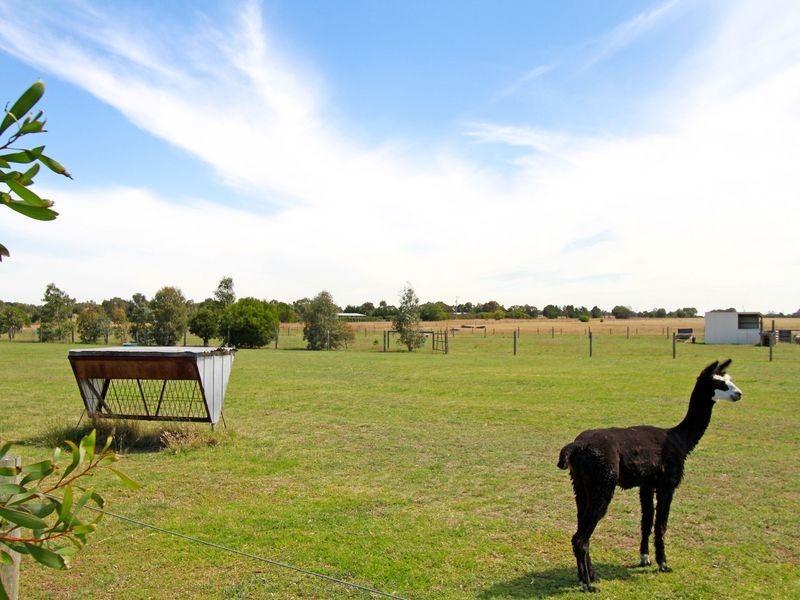 124 Willung Road, Rosedale VIC 3847