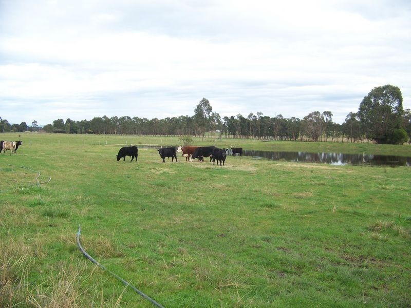 Lot 5 Tenneille Court, Rosedale VIC 3847