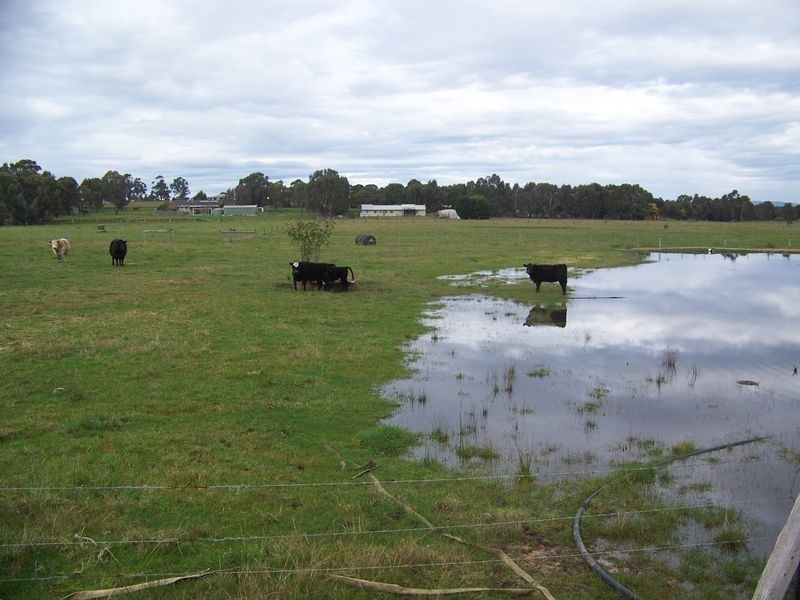 Lot 5 Tenneille Court, Rosedale VIC 3847