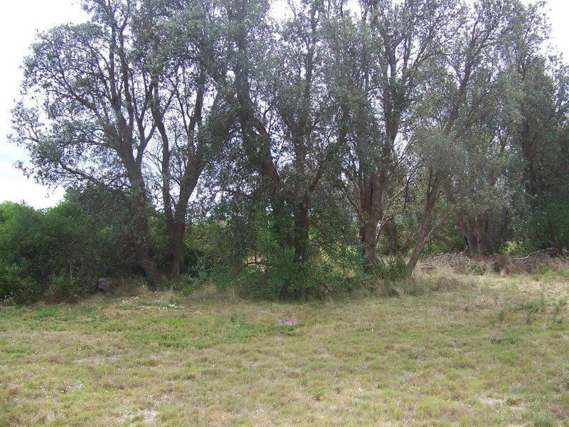2386-2390 Shoreline Drive, Seaspray VIC 3851