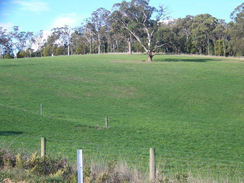 124 Stradbroke Road, Gormandale VIC 3873