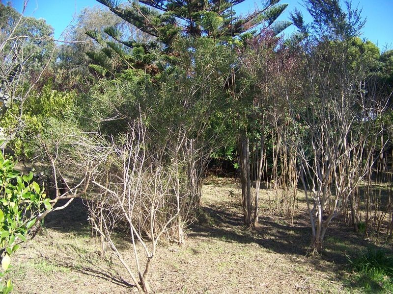 124 Stradbroke Road, Gormandale VIC 3873