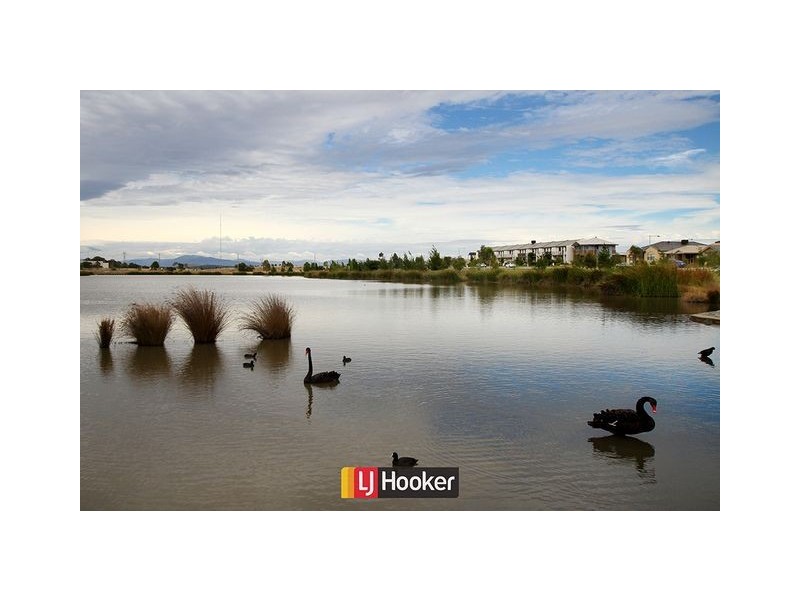 67 Donald Horne Circuit, Franklin ACT 2913
