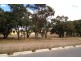 11 Annie Douglas Street, Casey ACT 2913